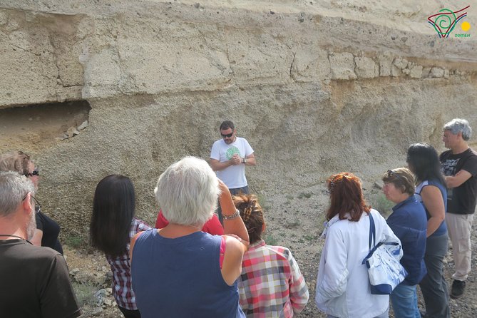 Trekking, wineries, birdwatching, local gastronomy, etc. - Birdwatching in northern Tenerife