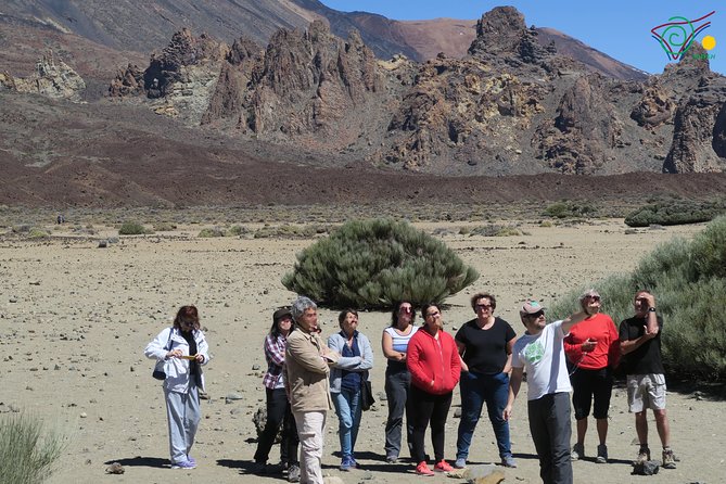 Trekking, wineries, birdwatching, local gastronomy, etc. - Weather and cancellation rules