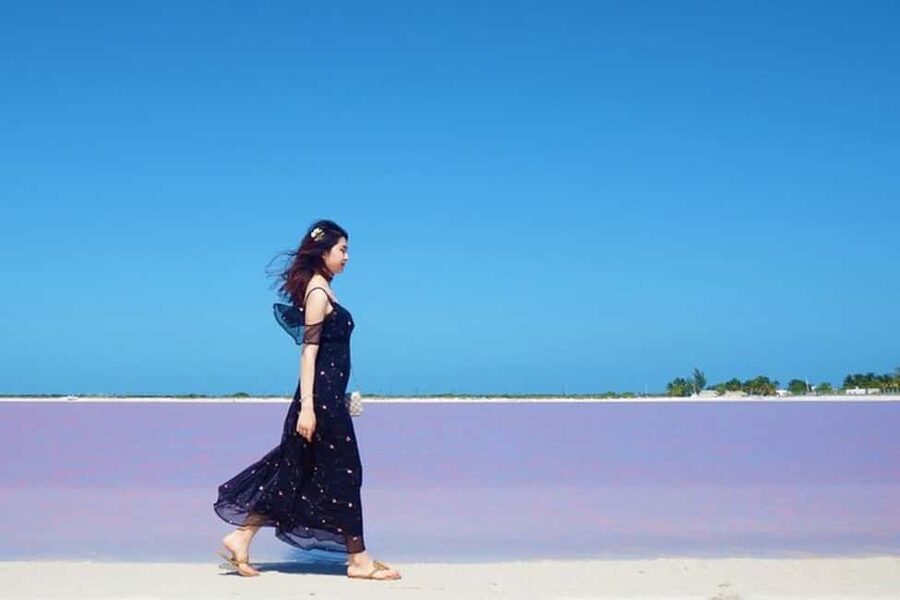 Tulum: Pink Lake, Rio Lagartos, Crocodile Flamingo Adventure - The crocodile angle