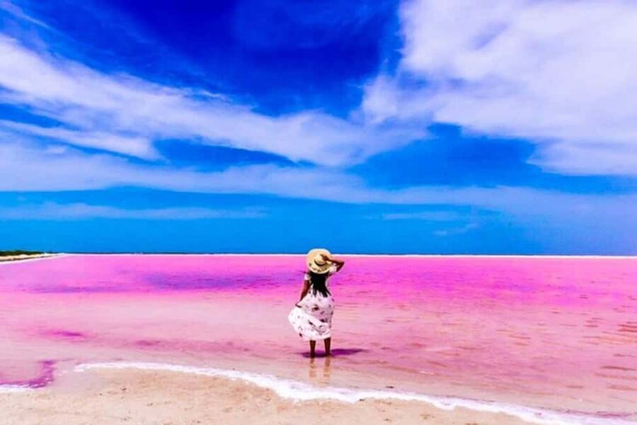 Tulum: Pink Lake, Rio Lagartos, Crocodile Flamingo Adventure - What the $133 price means