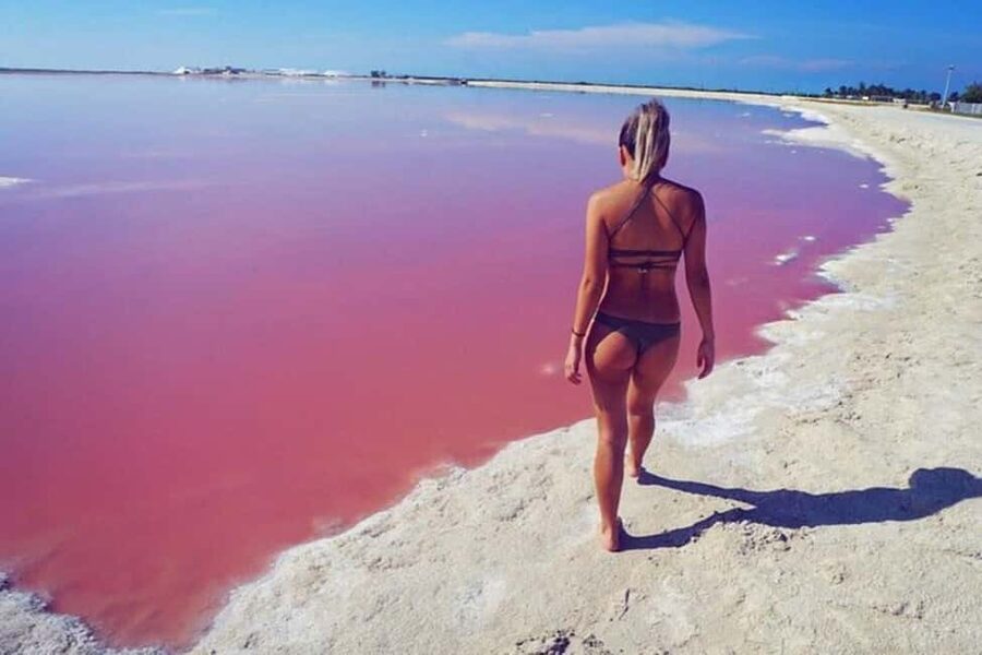 Tulum: Pink Lake, Rio Lagartos, Crocodile Flamingo Adventure - Language, flexibility, and planning