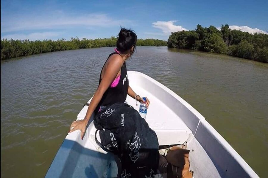 Tulum: Pink Lake, Rio Lagartos, Crocodile Flamingo Adventure - Who will enjoy this experience most