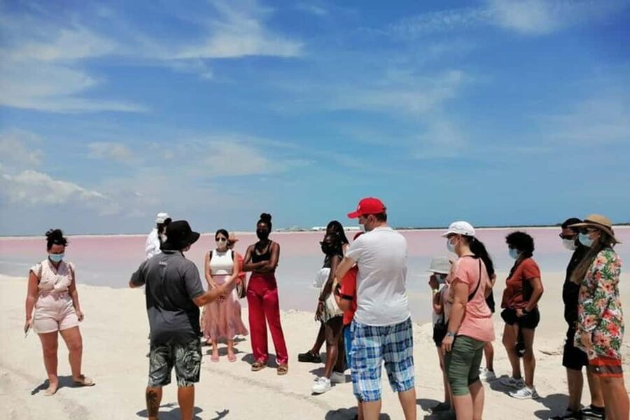 Tulum: Pink Lake, Rio Lagartos, Crocodile Flamingo Adventure - Should you book the Rio Lagartos and Las Coloradas trip?