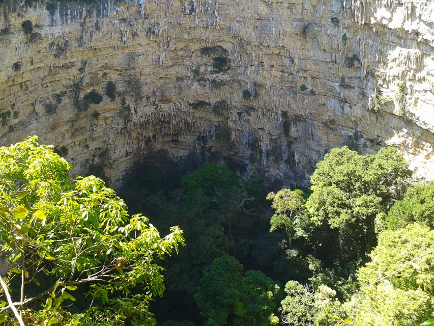 Tuxtla Gutiérrez: Sinkhole of Parrots Full-Day Rappel - Key points to know before you book