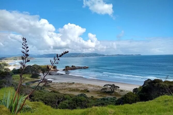 Twilight Wild Kiwi Bird Encounter Private Tour - What four kiwi sightings can and cannot tell you