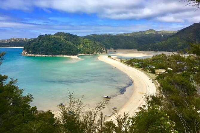 Twilight Wild Kiwi Bird Encounter Private Tour - Is $589.54 per person good value?