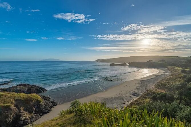 Twilight Wild Kiwi Bird Encounter Private Tour - Who should book this private tour?