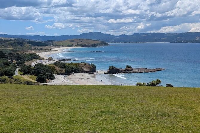 Twilight Wild Kiwi Bird Encounter Private Tour - Booking details that can affect your plans