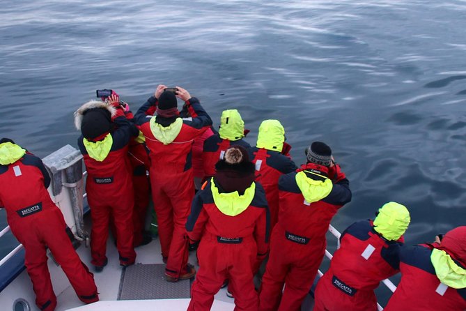 Two-In-One: Whale & Puffin Watching Tours from Reykjavik - Warm clothes, windows, and the sea