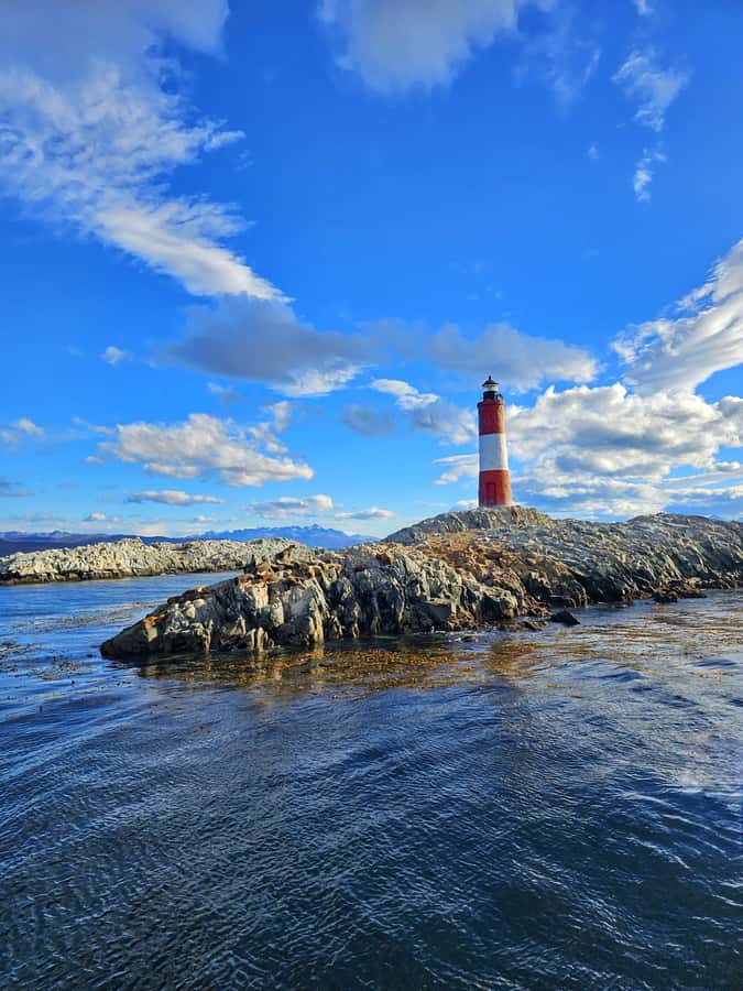 Ushuaia: Beagle Channel and Penguin Island - Bird Island and the First Wildlife Sightings