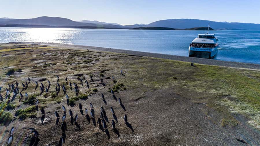 Ushuaia: Beagle Channel and Penguin Island - Is the $178 Price Fair?