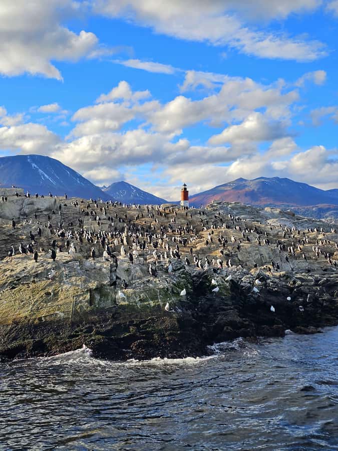 Ushuaia: Beagle Channel and Penguin Island - Crossing the Bay of Ushuaia Into the Beagle Channel