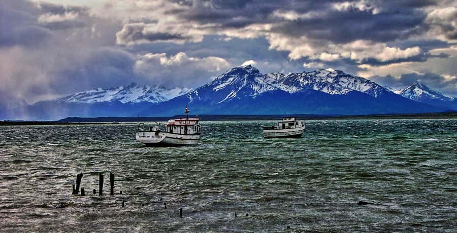 Ushuaia: Beagle Channel Boat Tour and Penguin Experience - Why Martillo Island is worth the long day