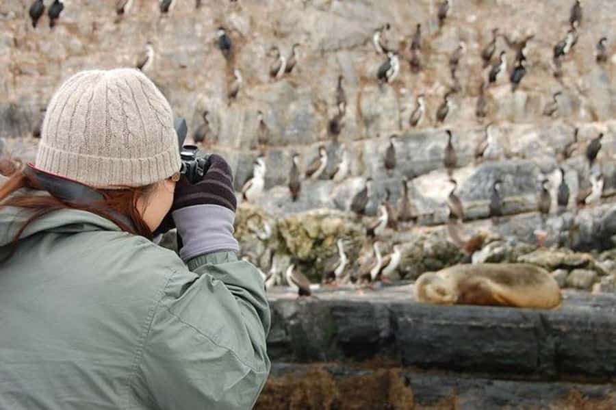 Ushuaia: Beagle Channel Penguin Colony Tour - What the $150 Price Includes