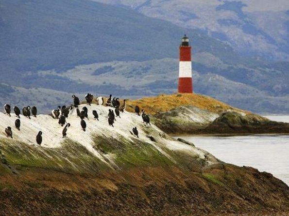 Ushuaia: Martillo Island and Walk Among Penguins Full-Day Tour - Martillo Island is the reason to go