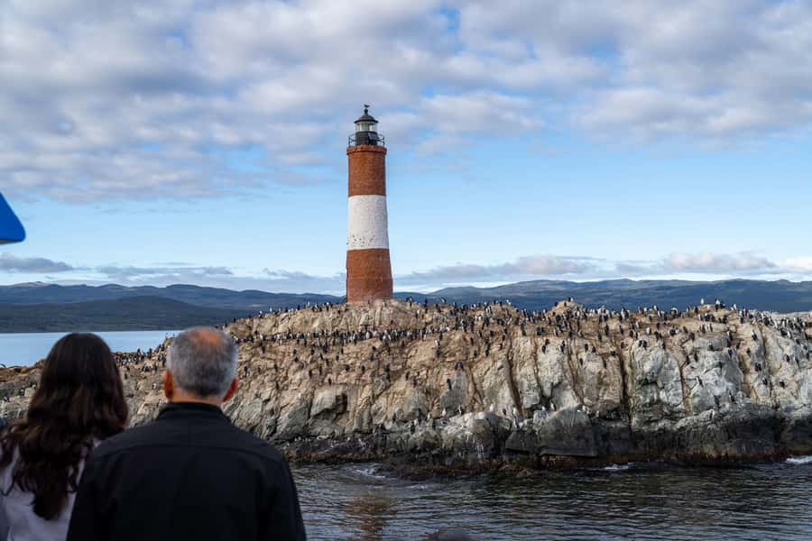 USHUAIA | Navigation: Sea Lions, Birds and Lighthouse - What the return to Ushuaia is like