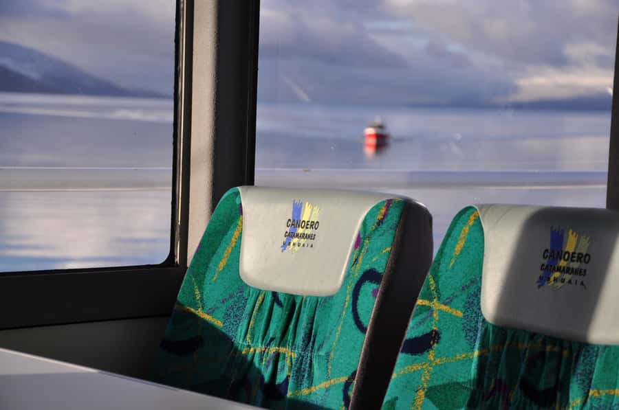 Ushuaia: Penguin Watching Tour by Catamaran - Who should book this trip?