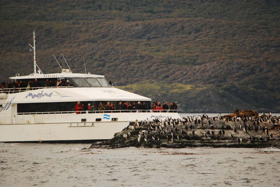 Ushuaia: Penguin Watching Tour by Catamaran - Sea Lion Island and the Bridges Archipelago