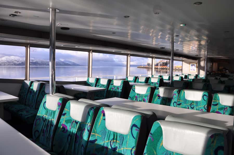 Ushuaia: Penguin Watching Tour by Catamaran - What the catamaran experience is really like