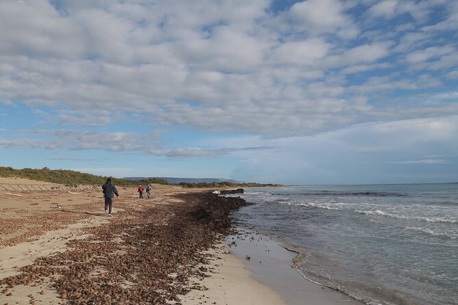 Vendicari private visit 3 hours The Bird Hotel. - Salt pans and the ancient garum tanks