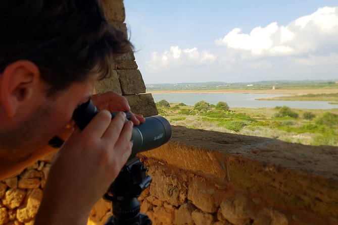 Vendicari - Sicily's best coast nature reserve ( Birdwatching & Archeology ) - Private pickup from Syracuse keeps the morning simple