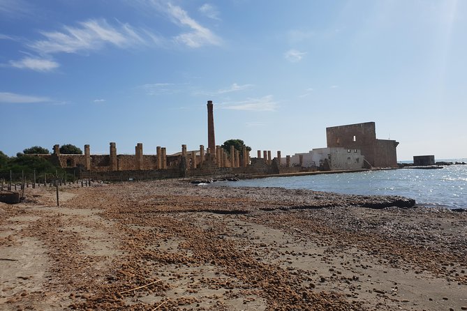 Vendicari - Sicily's best coast nature reserve ( Birdwatching & Archeology ) - Dunes and beaches show a disappearing side of Sicily