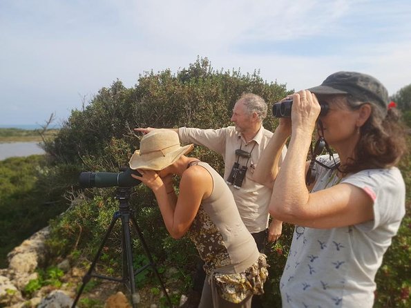 Vendicari - Sicily's best coast nature reserve ( Birdwatching & Archeology ) - Spanish tower and Greek fish farm add older layers