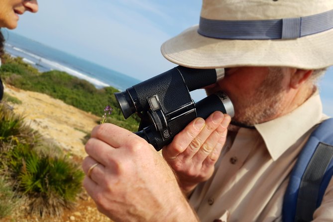 Vendicari - Sicily's best coast nature reserve ( Birdwatching & Archeology ) - What the $218.33 price means in practice