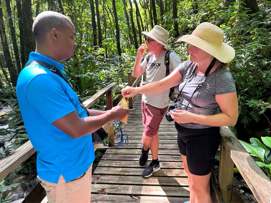 Vermont Nature Trail and Bird Watching Tour - From Kingstown landmarks to the Vermont forest