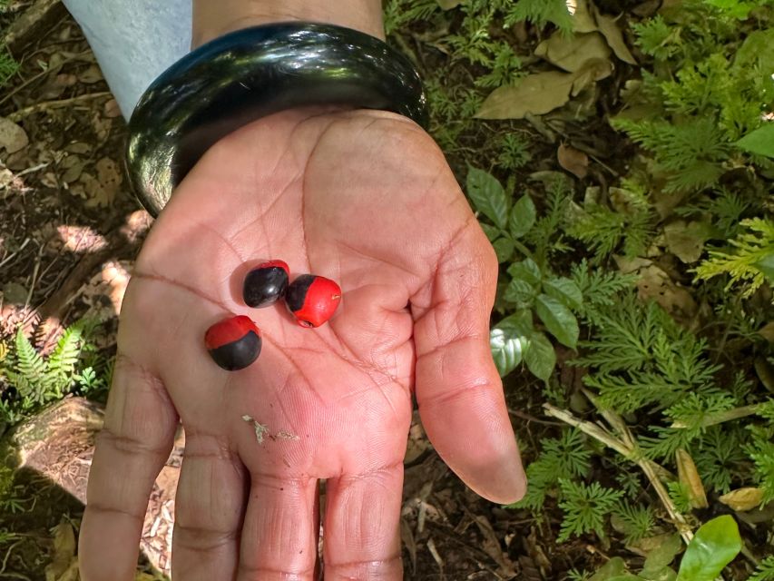 Vermont Nature Trail and Bird Watching Tour - Why the $80 price can make sense