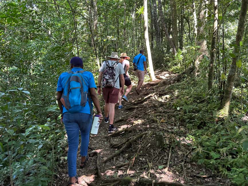 Vermont Nature Trail and Bird Watching Tour - What guide Kevin adds to the day