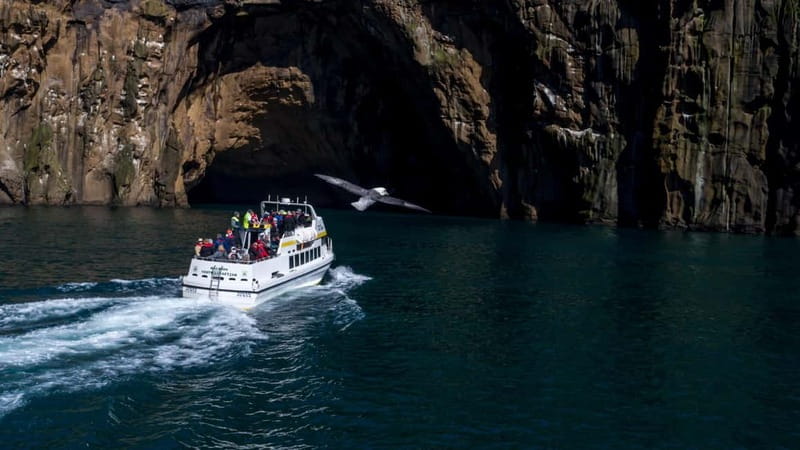 Vestmannaeyjar: Puffin, Island, and Volcano Boat Tour - Elliðaey and the house with no neighbors
