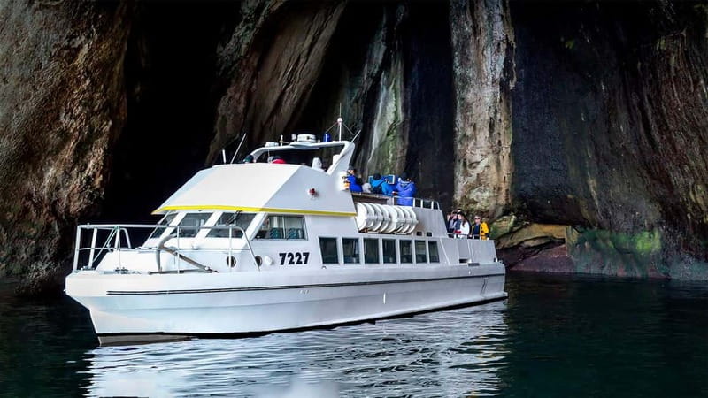 Vestmannaeyjar: Puffin, Island, and Volcano Boat Tour - What the guide adds to the ride
