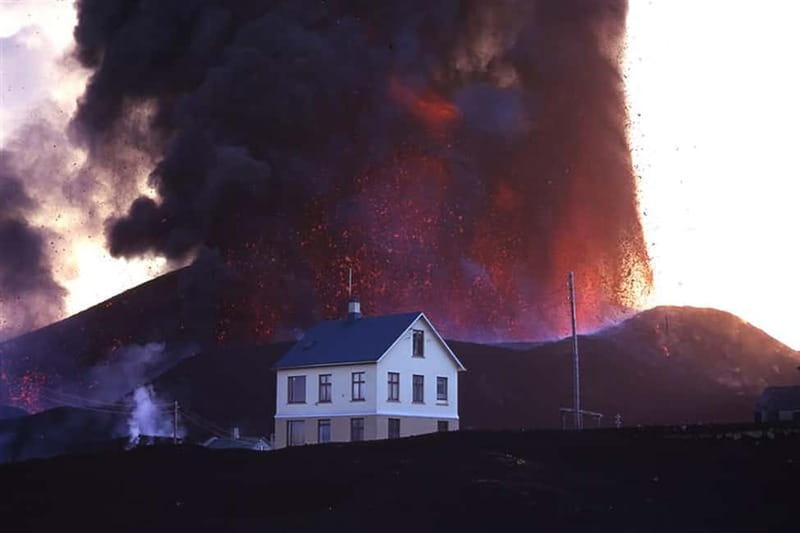 Vestmannaeyjar: Puffin, Island, and Volcano Boat Tour - Is $96 a fair price for one hour?
