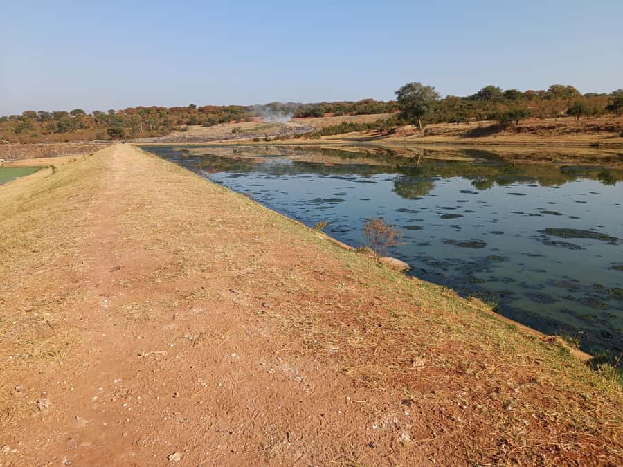 Victoria Falls: Private Birdwatching Safari near the town - The sewage ponds and surrounding scrub