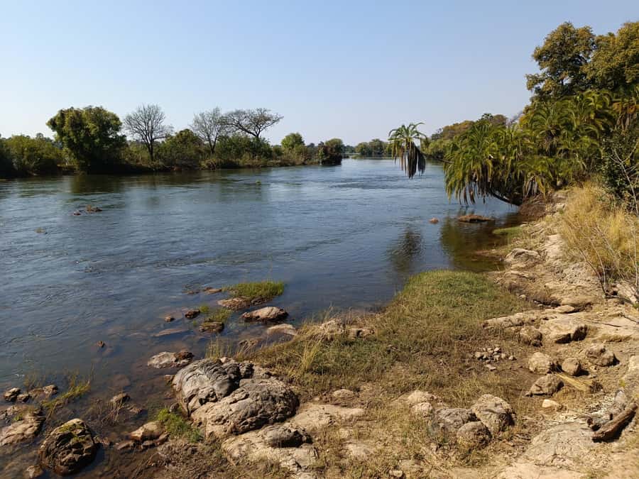 Victoria Falls: Private Birdwatching Safari near the town - What the $130 price gets you