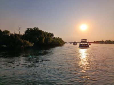 Victoria Falls: Private Zambezi River Birdwatching Safari