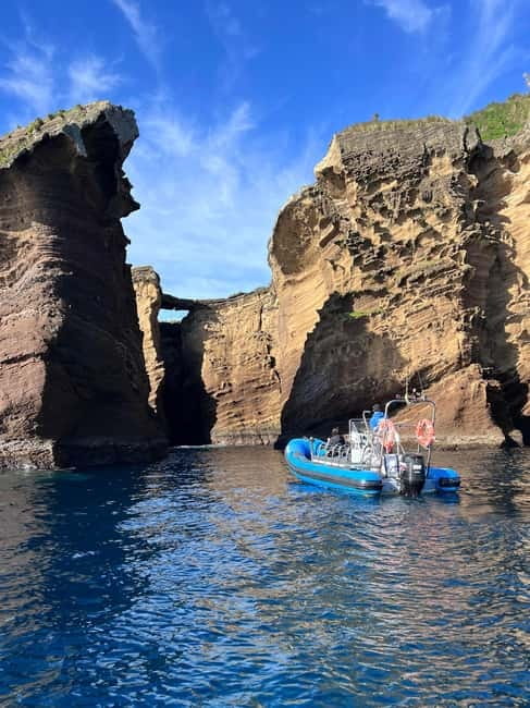 Vila Franca do Campo: Marine Life & Bird Watching & Islet Tour - What the guides add to the outing
