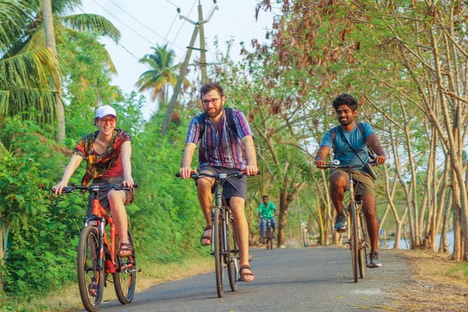 Village Bike Tour & Birdwatching - Birdwatching at Changaram Wetlands