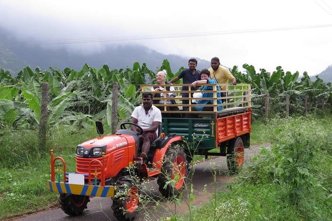 Village Bike Tour & Birdwatching - Practical details before you book