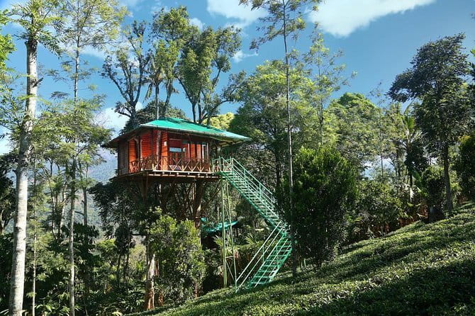 Village Walking Tour and Bird Watching - What the private format changes