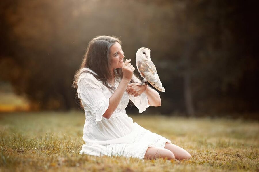 VIP falconry taster session - Meeting Ari and the birds