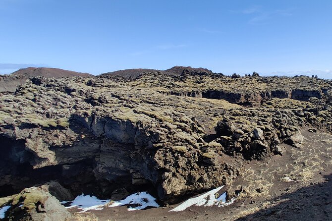 Volcanic Vistas & Puffin Paradise ATV Tour - Should You Book the Volcanic Vistas and Puffin Paradise ATV Tour?