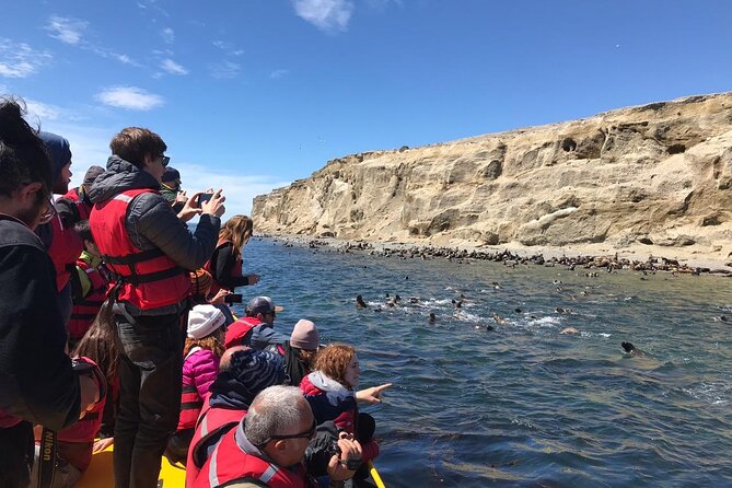 Walk alongside Penguins on Magdalene Island and navigate Marta Island - Isla Marta offers sea lions from the water