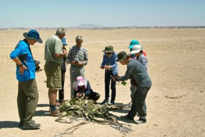 Walvis Bay Shore Excursion: Flamingos, Dune 7, Swakopmund