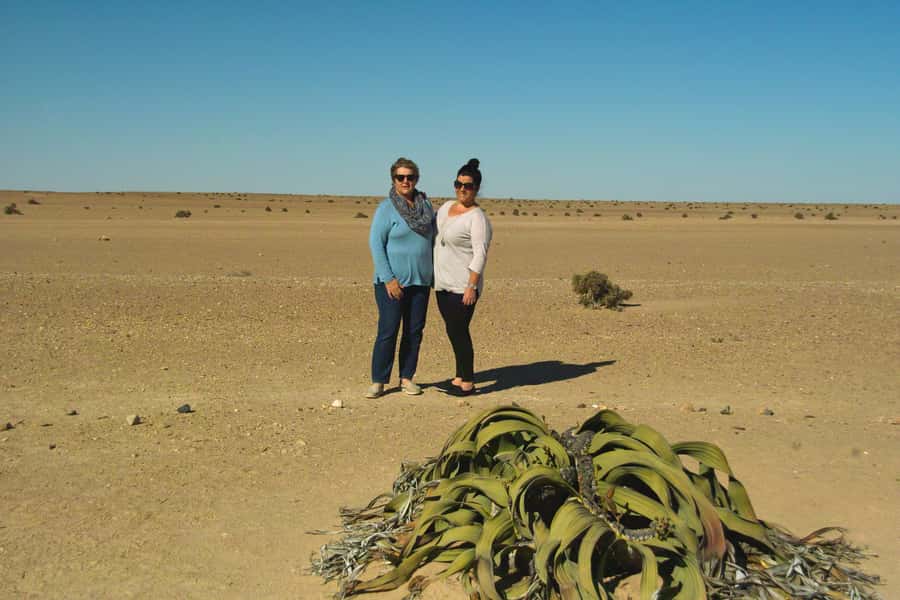 Walvis Bay Shore Excursion: Flamingos, Dune 7, Swakopmund - Transport, group size, and guide style