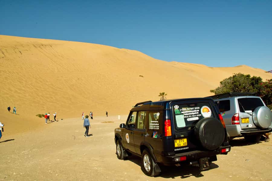 Walvis Bay Shore Excursion: Flamingos, Dune 7, Swakopmund - Is $200 a fair price?