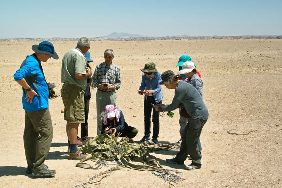 Walvis Bay Shore Excursion: Flamingos, Dune 7, Swakopmund - Climbing Dune 7 at 132 meters