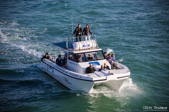 Whale, Dolphin & Penguin Island Cruise - St. Croix Island and its threatened penguins