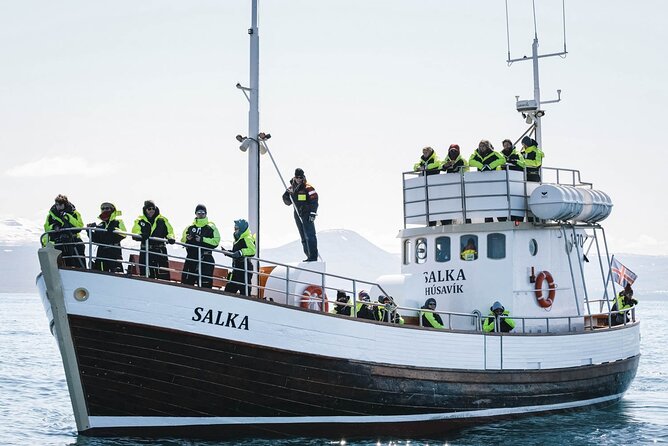 Whales and Puffins Tour from Husavik - Warm overalls, hot cocoa, and the boat ride
